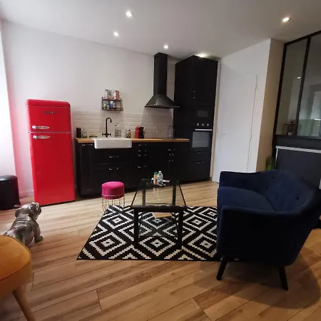 Atypique Immeuble De 1820 Lägenhet Fumel