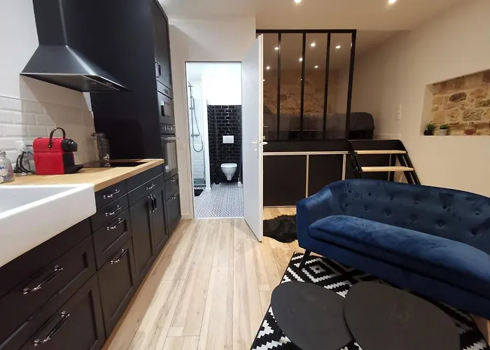 Appartement Atypique Dans Bel Immeuble De 1820