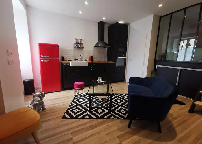 Atypique Dans Bel Immeuble De 1820 Appartement Fumel