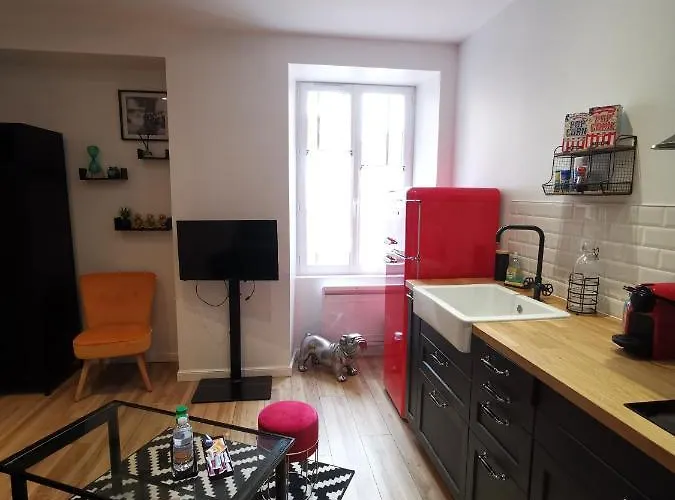 Appartement Atypique Dans Bel Immeuble De 1820 *